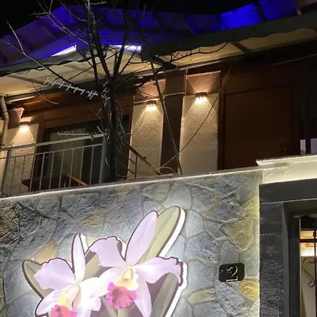Apartament Katalea Gjirokastra